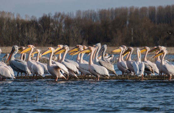 Traseu Autorulota Delta Marea Neagra